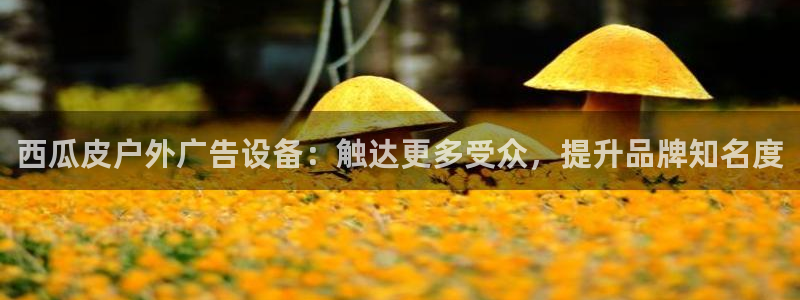杏宇平台代理怎么样啊：西瓜皮户外广告设备：触达更多受众，提升品牌知名度
