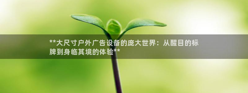 杏宇平台招商电话号码：**大尺寸户外广告设备的庞大世界：从醒目的标
牌到身临其境的体验**